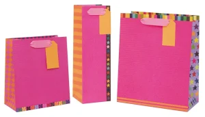 BAG BOTTLE COLOUR HUB PINK
